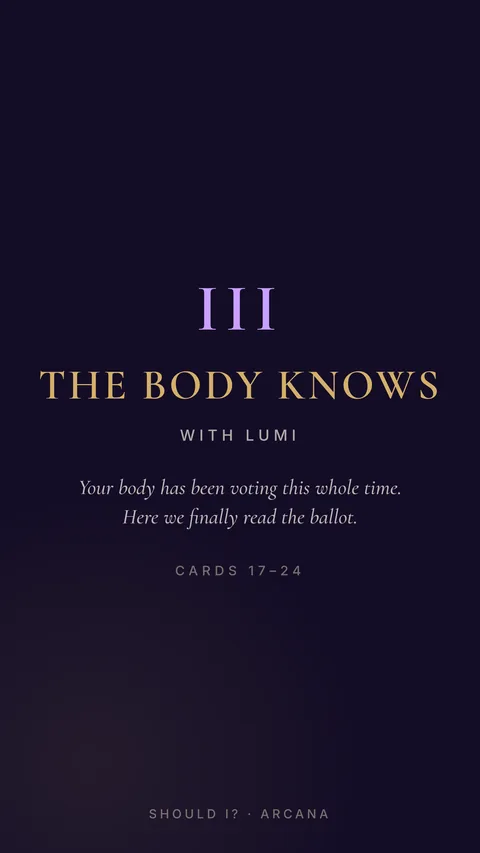 Suit III divider, Lumi — The Body Knows